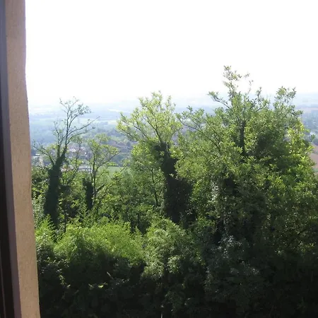 Tenuta Marchesi Scarampi Camino